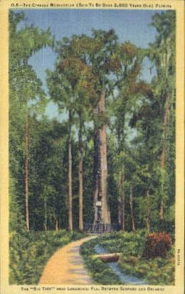 Пощенска картичка от Лонгвуда, Флорида