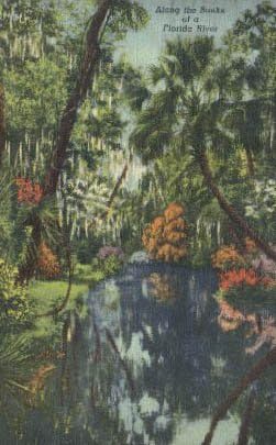 Река във Флорида, пощенска Картичка от Флорида