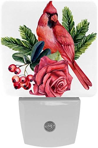 Mapotofux 2 пакета Нощни осветителни тела Red Bird Cardinal, Червена Роза, Плодове, Вградени в стената с Фотоэлементным